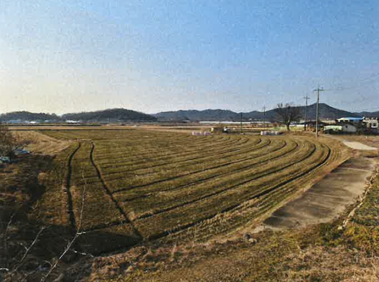 광주광역시 광산구 남산동 417 전 경매 사진 9