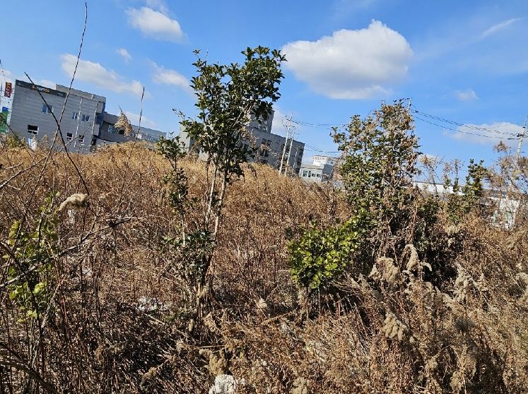 광주광역시 광산구 고룡동 1014 공장 경매 사진 85