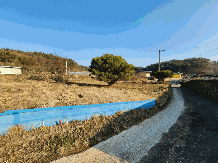 전라남도 나주시 문평면 오룡리 76 외 1필지 대지 경매 사진 7