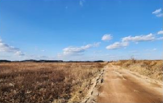 전라남도 영암군 삼호읍 난전리 1412-1 외 30필지 전 경매 사진 24