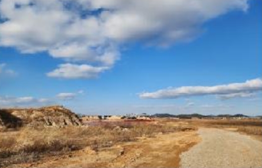 전라남도 영암군 삼호읍 난전리 1412-1 외 30필지 전 경매 사진 48