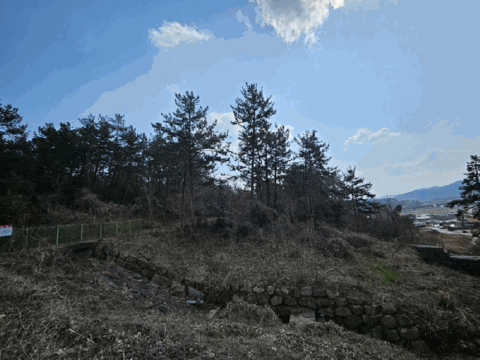 전라남도 무안군 삼향읍 임성리 산59-2 임야 경매 사진 27