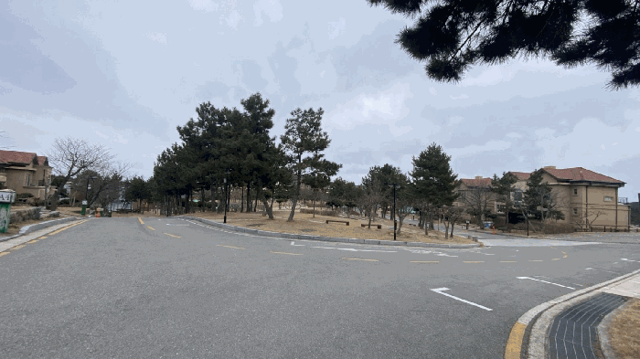 전라남도 신안군 증도면 우전리 238-1 외 2필지 숙박시설 경매 사진 3