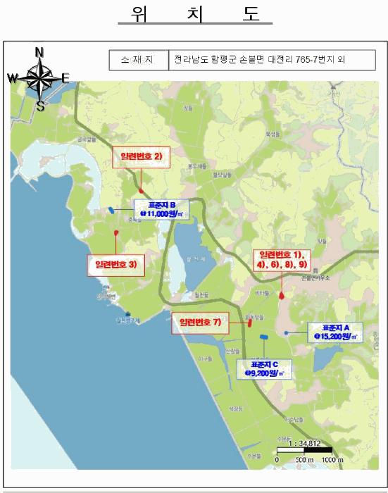 전라남도 함평군 손불면 대전리 765-7 외 4필지 상가주택 경매 사진 23