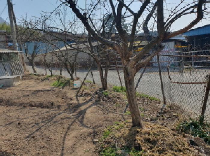 전라남도 장흥군 안양면 기산리 564-1 주택 경매 사진 45