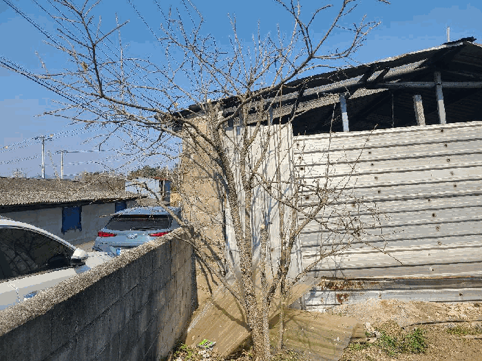 전라남도 장흥군 안양면 기산리 564-1 주택 경매 사진 64