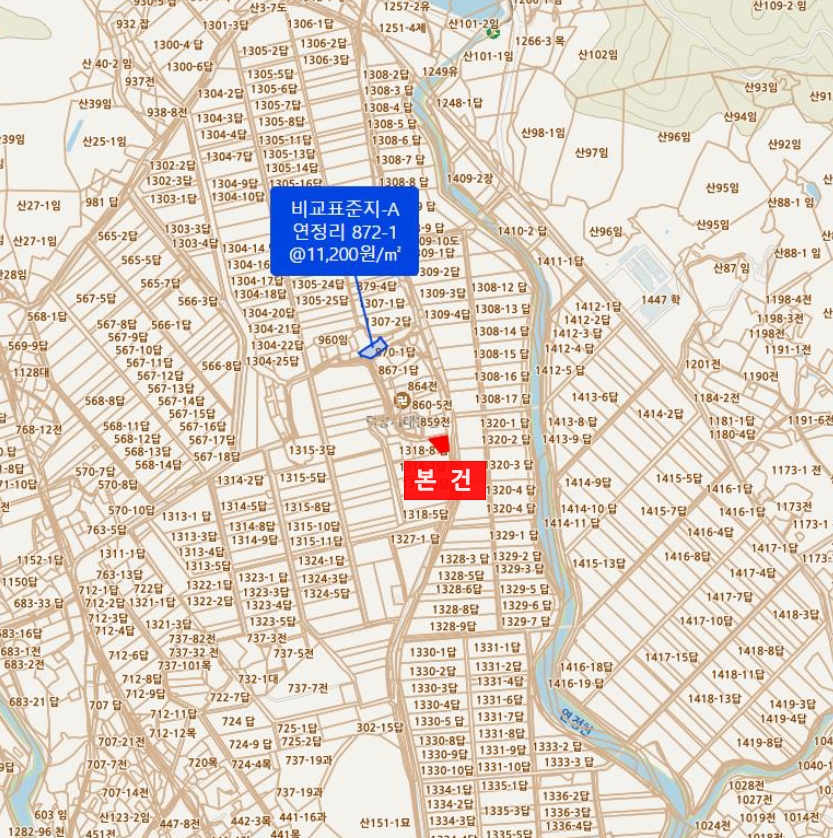 전라남도 장흥군 대덕읍 연정리 1318-7 상가 경매 사진 20