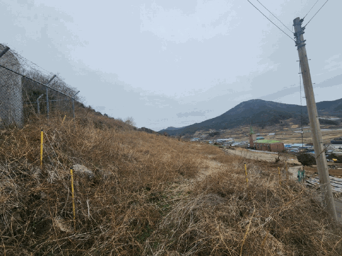 전라남도 여수시 화양면 서촌리 1099 전 경매 사진 24