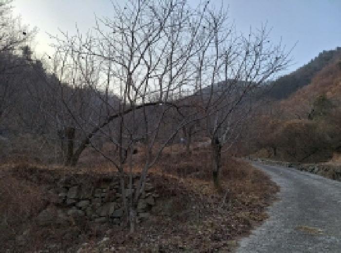 전라남도 광양시 진상면 어치리 766-1 답 경매 사진 2
