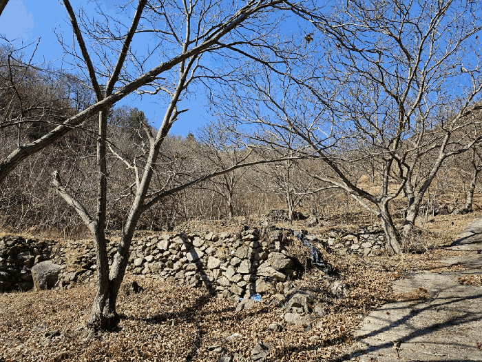 전라남도 광양시 진상면 어치리 766-1 답 경매 사진 5
