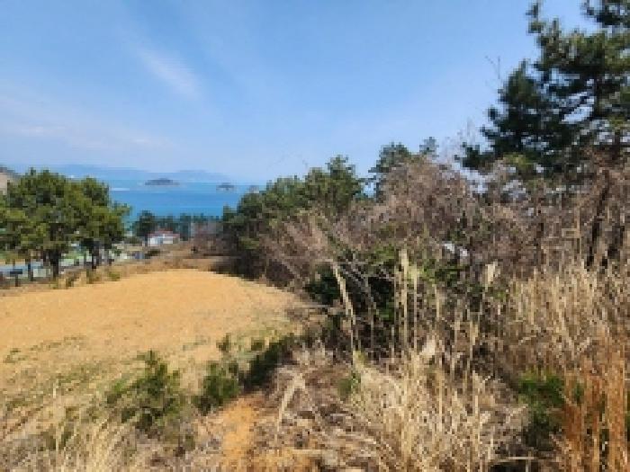전라남도 여수시 돌산읍 평사리 1252-7 외 4필지 전 경매 사진 1