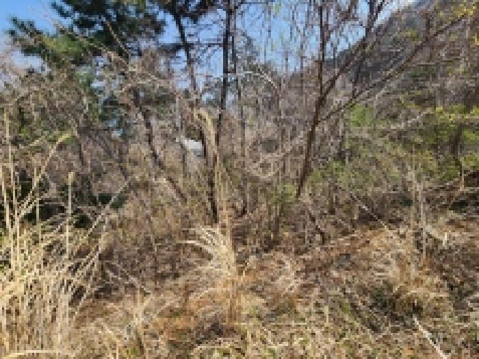 전라남도 여수시 돌산읍 평사리 1252-7 외 4필지 전 경매 사진 2