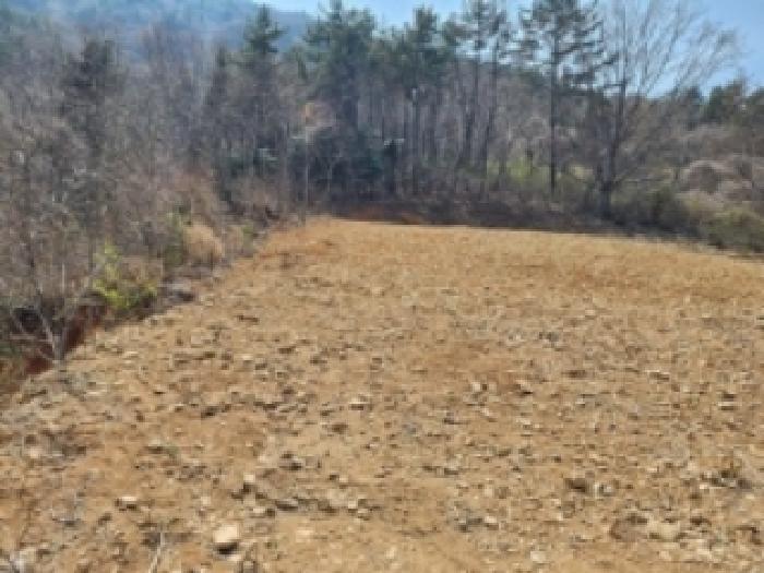 전라남도 여수시 돌산읍 평사리 1252-7 외 4필지 전 경매 사진 11
