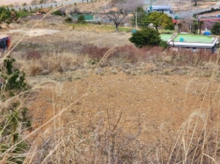 전라남도 여수시 돌산읍 평사리 1252-7 외 4필지 전 경매 사진 12