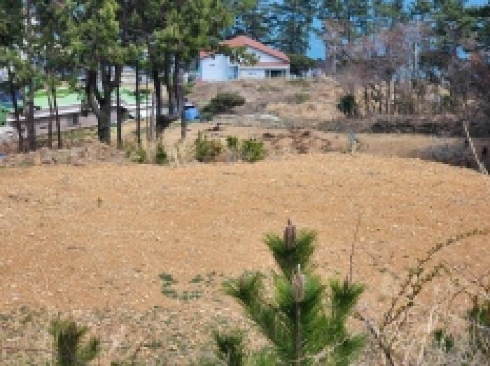 전라남도 여수시 돌산읍 평사리 1252-7 외 4필지 전 경매 사진 13
