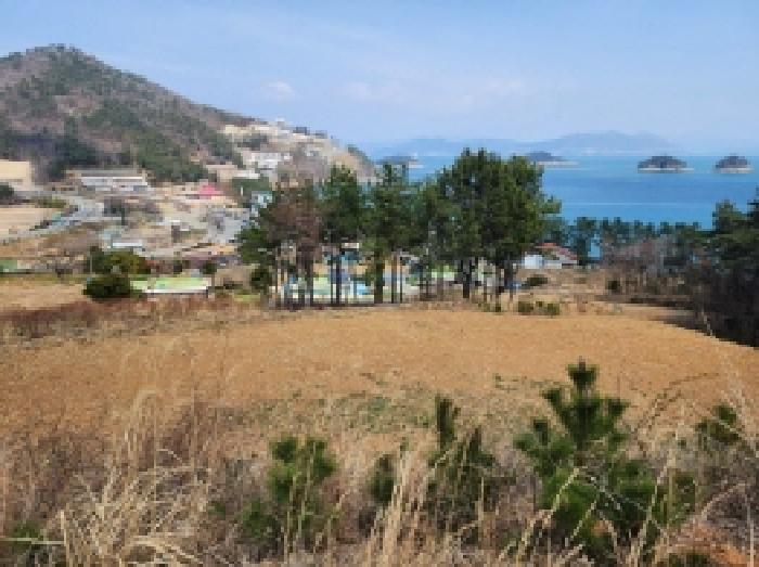 전라남도 여수시 돌산읍 평사리 1252-7 외 4필지 전 경매 사진 14