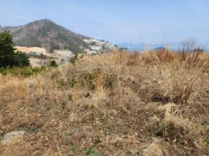 전라남도 여수시 돌산읍 평사리 1252-7 외 4필지 전 경매 사진 15