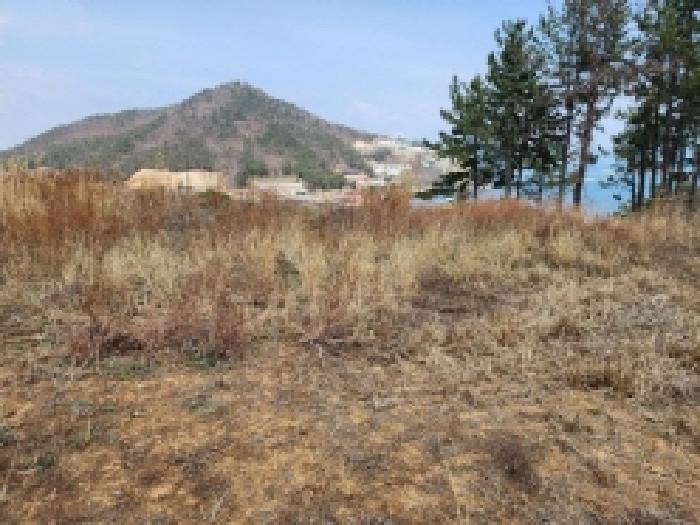 전라남도 여수시 돌산읍 평사리 1252-7 외 4필지 전 경매 사진 17