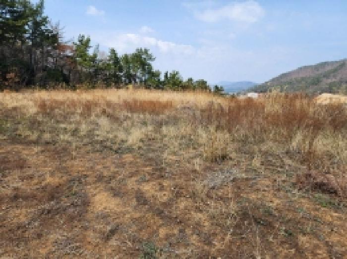 전라남도 여수시 돌산읍 평사리 1252-7 외 4필지 전 경매 사진 18