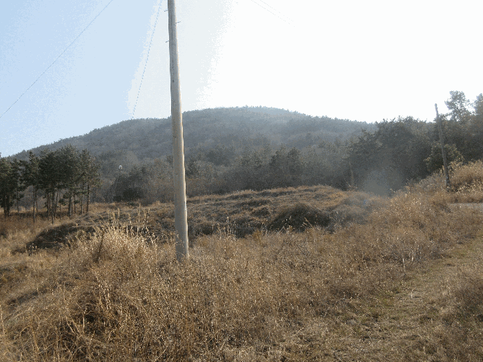 전라남도 여수시 돌산읍 평사리 1252-7 외 4필지 전 경매 사진 19