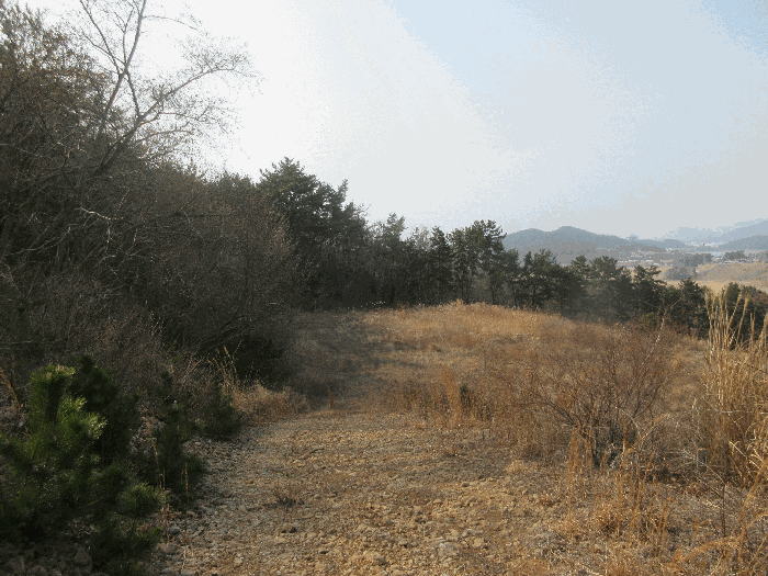 전라남도 여수시 돌산읍 평사리 1252-7 외 4필지 전 경매 사진 20
