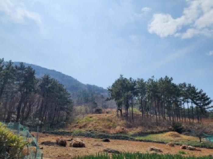 전라남도 여수시 돌산읍 평사리 1252-7 외 4필지 전 경매 사진 3