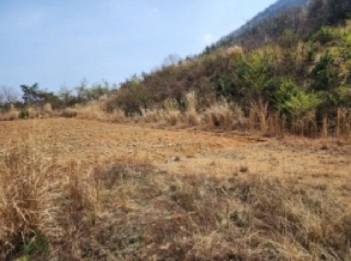 전라남도 여수시 돌산읍 평사리 1252-7 외 4필지 전 경매 사진 7