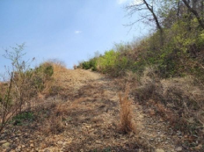전라남도 여수시 돌산읍 평사리 1252-7 외 4필지 전 경매 사진 9