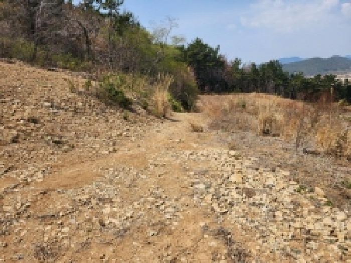 전라남도 여수시 돌산읍 평사리 1252-7 외 4필지 전 경매 사진 10
