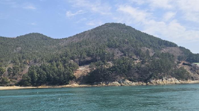 전라남도 여수시 돌산읍 신복리 산460 임야 경매 사진 6