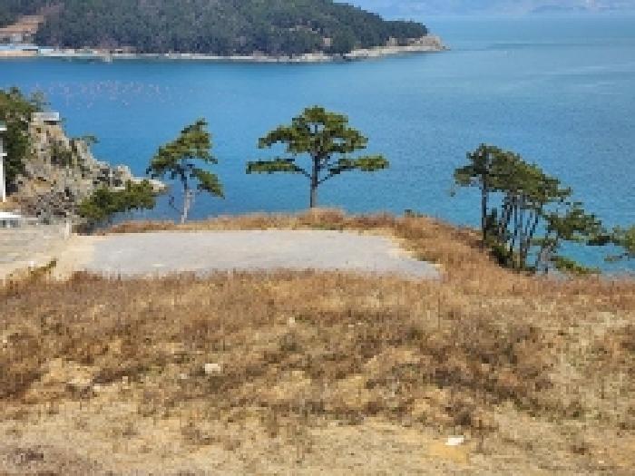 전라남도 여수시 돌산읍 평사리 1292-103 외 1필지 임야 경매 사진 1