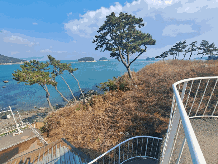 전라남도 여수시 돌산읍 평사리 1292-103 외 1필지 임야 경매 사진 16