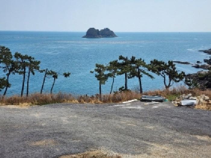 전라남도 여수시 돌산읍 평사리 1292-103 외 1필지 임야 경매 사진 3