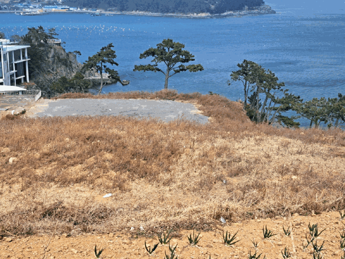 전라남도 여수시 돌산읍 평사리 1292-103 외 1필지 임야 경매 사진 9