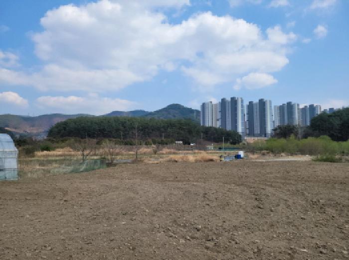 전라남도 광양시 광양읍 우산리 927 답 경매 사진 10