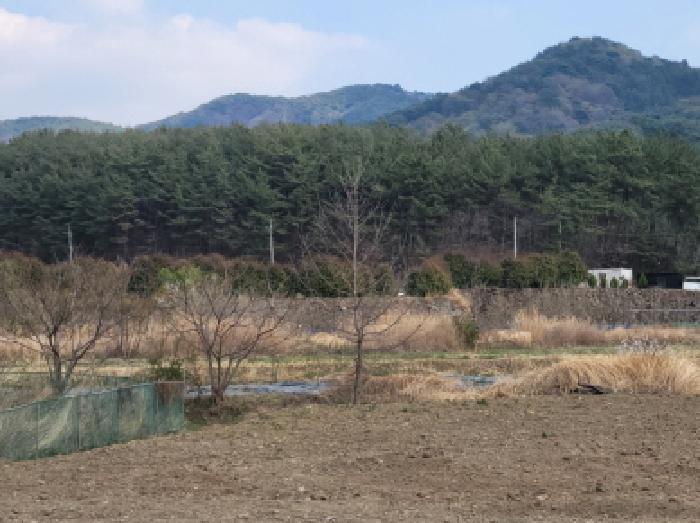 전라남도 광양시 광양읍 우산리 927 답 경매 사진 14