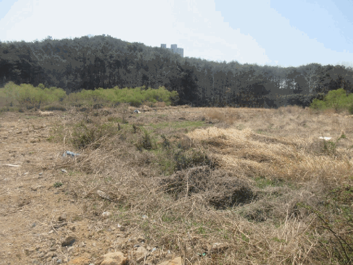 전라남도 광양시 광양읍 우산리 927 답 경매 사진 17