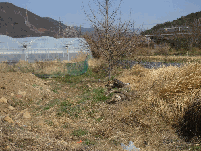 전라남도 광양시 광양읍 우산리 927 답 경매 사진 18