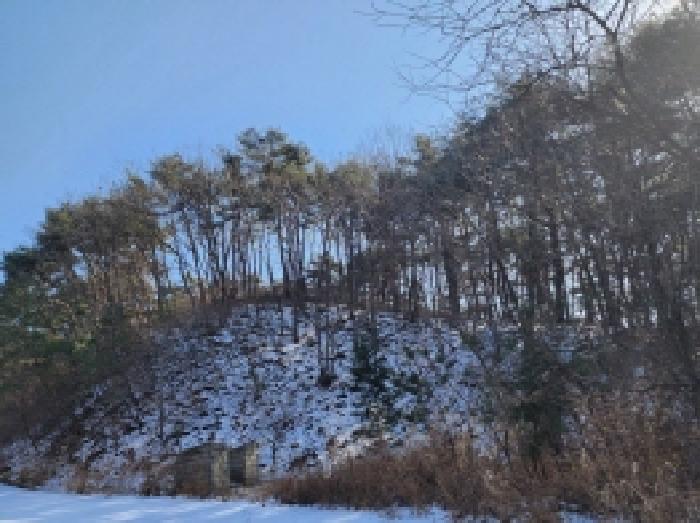 전라남도 보성군 문덕면 귀산리 산112 임야 경매 사진 92