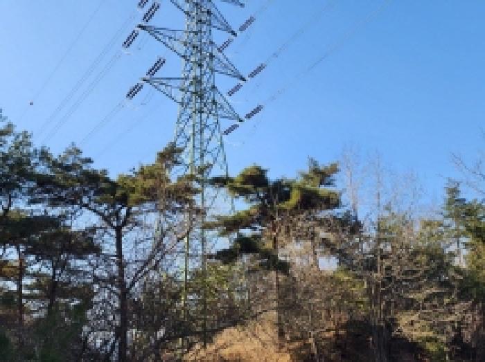 전라남도 보성군 문덕면 귀산리 산112 임야 경매 사진 93