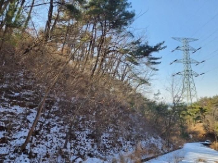 전라남도 보성군 문덕면 귀산리 산112 임야 경매 사진 94