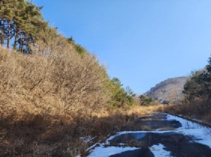 전라남도 보성군 문덕면 귀산리 산112 임야 경매 사진 97