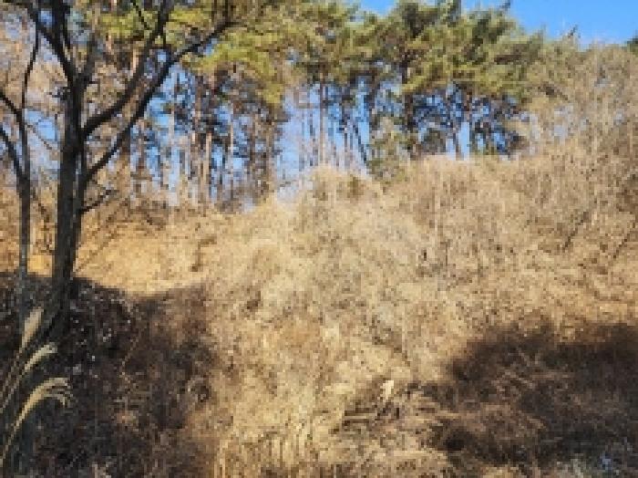 전라남도 보성군 문덕면 귀산리 산112 임야 경매 사진 98