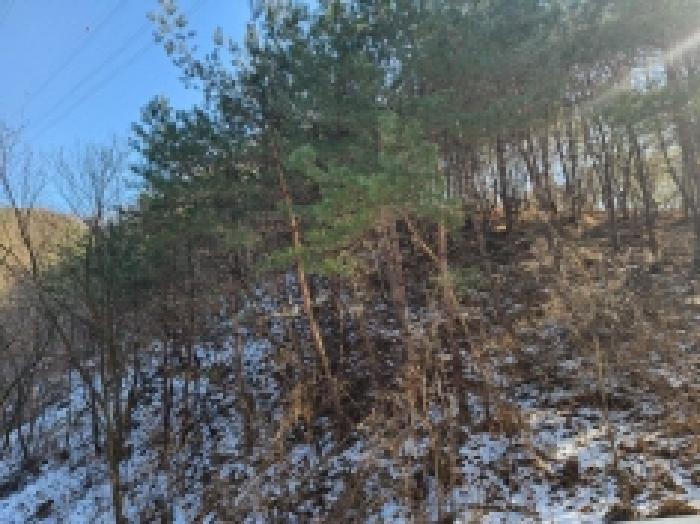 전라남도 보성군 문덕면 귀산리 산112 임야 경매 사진 100