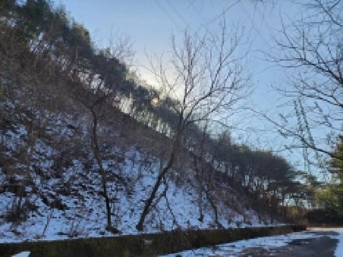전라남도 보성군 문덕면 귀산리 산112 임야 경매 사진 104
