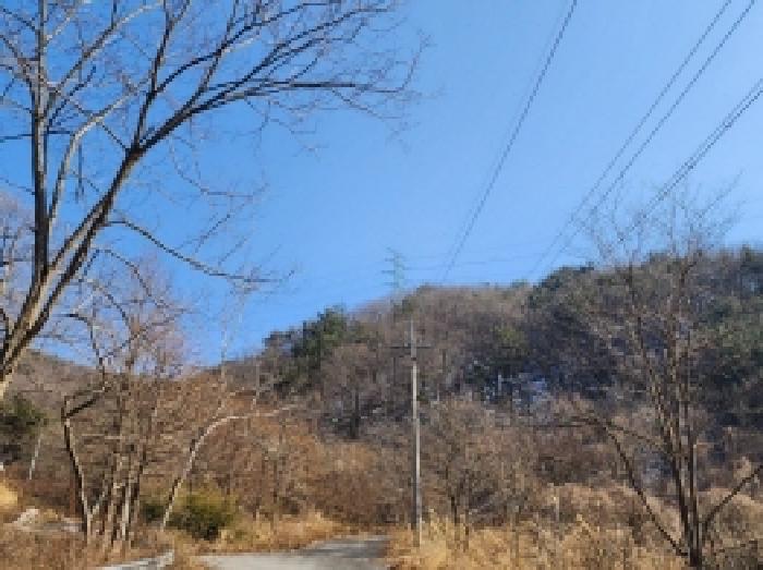 전라남도 보성군 문덕면 귀산리 산112 임야 경매 사진 105