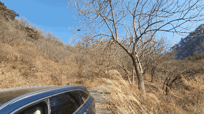전라남도 보성군 문덕면 귀산리 산112 임야 경매 사진 109
