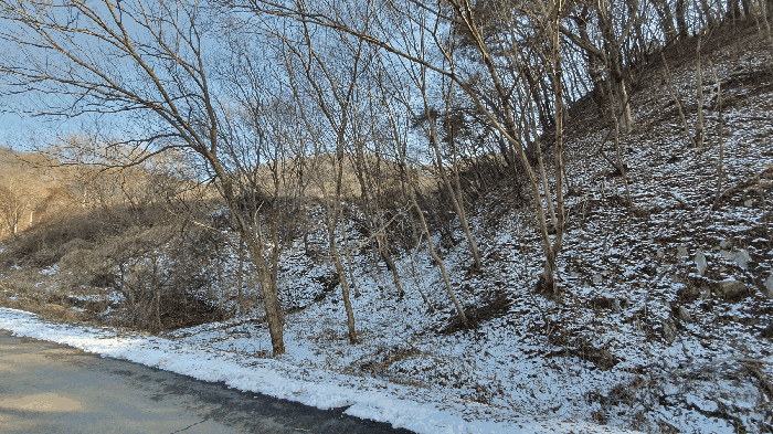 전라남도 보성군 문덕면 귀산리 산112 임야 경매 사진 110