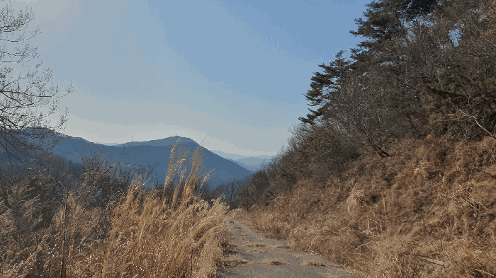 전라남도 보성군 문덕면 귀산리 산112 임야 경매 사진 111