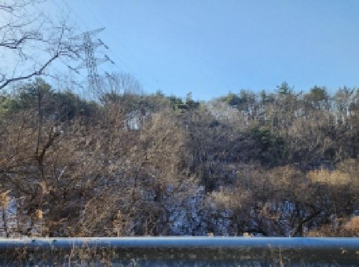 전라남도 보성군 문덕면 귀산리 산112 임야 경매 사진 85